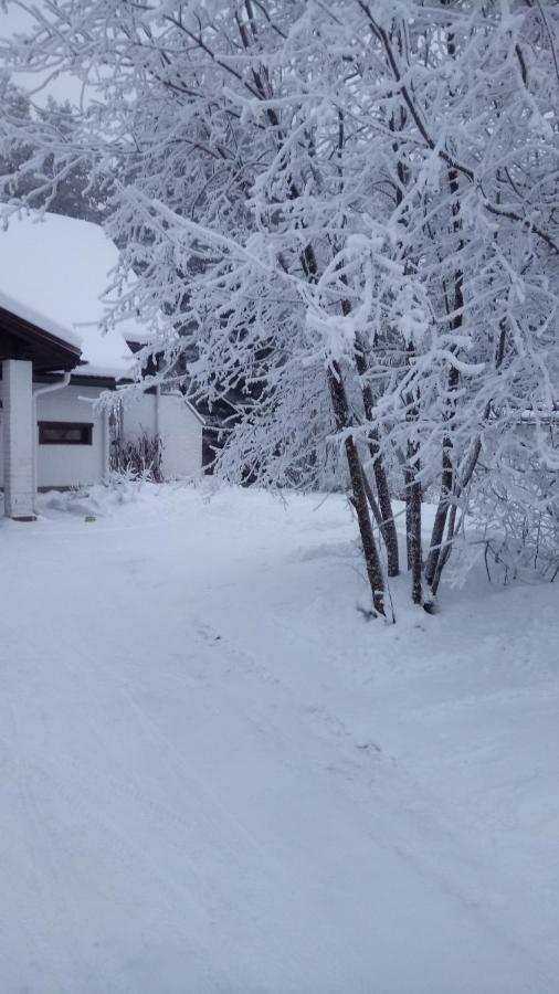 The House Near Santa Park Villa Rovaniemi Esterno foto